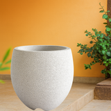 Arecca Rotomolded Pots for Home & Garden (Pack of 1)