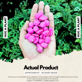 Pink Pebbles for Decoration |Garden|Table|Terrariums| Home Decor|Vase Fillers