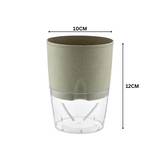 Lobello Selfwatering Pot