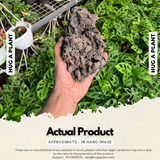 Black Lava Rock for Decoration |Garden|Table|Terrariums| Home Decor