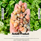 Mixed Gravel Big Aquarium Pebble Sand |Garden|Table|Terrariums| Home Decor|Vase Fillers