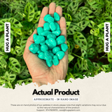 Aqua Green Painted Pebbles for Decoration |Garden|Table|Terrariums| Home Decor|Vase Fillers