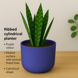 Hug a plant Ebizia Plastic Pot for Home & Garden (Pack of 1)