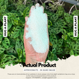 White Sand for Decoration |Garden|Table|Terrariums| Home Decor|Vase Fillers