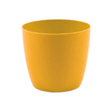 Valencia 16cm Round Plastic Pot for Home & Garden