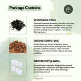 Hug A Plant : Orchid Combo ;All in one set