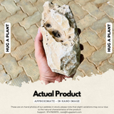 Hole Rock for Decoration |Garden|Table|Terrariums| Home Decor|Vase Fillers