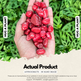 Red Pebbles for Decoration |Garden|Table|Terrariums| Home Decor|Vase Fillers