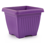 Hug A Plant | Bello Square 30CM Plastic Pot for Home & Garden (Pack of 1)