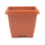Hug A Plant | Bello Square 35CM Plastic Pot for Home & Garden (Pack of 1)