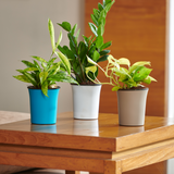 Hug A Plant | Oslo 10.5cm Round Plastic Pots with Inner for Home & Garden