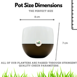 Hug A Plant Self-Watering Miniature Pot ƒ?? Mixed Colors for Home & Garden