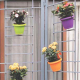 Hug A Plant | Bello Hook Hanging Plastic Pot for Home & Garden (Pack of 1)