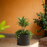 Dora Rotomolded Pot for Home & Garden (Pack of 1)