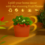 Fruit Rotomolded Pots for Home & Garden (Pack of 1)