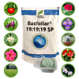Basfoliar Soluble Powder NPK (19:19:19:) Plant Growth Regulator for Home Garden & Plants (1KG)