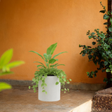 Dora Line Rotomolded Pot for Home & Garden (Pack of 1)