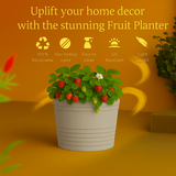 Fruit Rotomolded Pots for Home & Garden (Pack of 1)