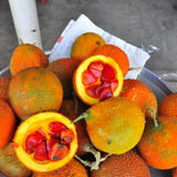 Gac Fruit (Momordica Cochinchinensis) Fruit Plant (Home & Garden Plants)