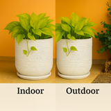 Mia Rotomolded Pots And Tray for Home & Garden (Pack of 1)