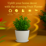 Nora Rotomolded Pots And Tray for Home & Garden (Pack of 1)