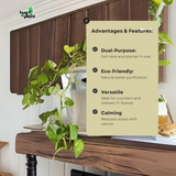 Hug A Plant | White Colour Beta Pot for Aquarium(2.5 ltr)