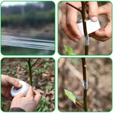 Grafting Stretchable Tape for Nursery and Garden, Budding/Plant Repair Tape for Nursery & Garden, Moisture Barrier Waterproof, Size- 50MM (Aprox 100GM) (Pack Of 1)
