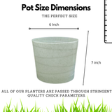 Hug A Plant Oval White colour for Home & Garden