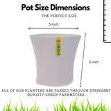Hug A Plant Arc Pot(5 Inch) White colour for Home & Garden