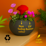 Globe Rotomolded Pots for Home & Garden (Pack of 1)