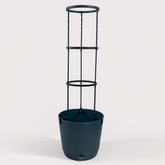 Krish Self Watering Plastic Pot With Trellis