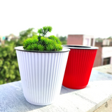 Kia 12.8cm Round Pot With Inner Planters for Home, Office, Home & Garden (12.8CM | 5INCH)