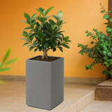 Cubo 2412 Rotomolded Pots for Home & Garden (Pack of 1)