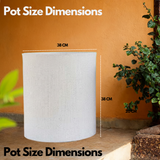 Dora Rotomolded Pot for Home & Garden (Pack of 1)