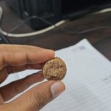 Gulmohar (Delonix regia) | Seed Balls