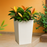 Stella Rotomolded Pots for Home & Garden (Pack of 1)