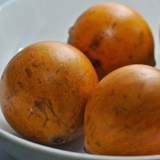 Udara Fruit (Chrysophyllum Albidum) Seedling Fruit Plant (Home & Garden Plants)