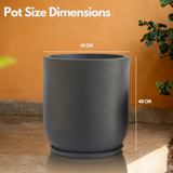 Mia Rotomolded Pots And Tray for Home & Garden (Pack of 1)