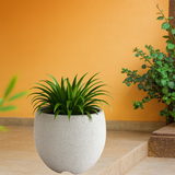 Arecca Rotomolded Pots for Home & Garden (Pack of 1)