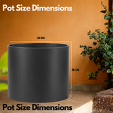 Dora Rotomolded Pot for Home & Garden (Pack of 1)