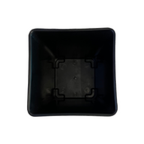 Hug A Plant | Hot Square Plastic Pot for Home & Garden (22CM | 9INCH)