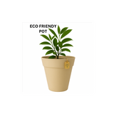 Rome Eco Series for Home & Garden (Pack of 1)