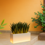 L E D Rectangle Pots for Home & Garden (Pack of 1)