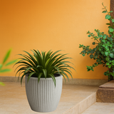 Poppy Rotomolded Pots for Home & Garden (Pack of 1)