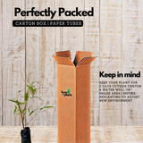 Rangoon bamboo|Bambusa tulda(Avenue Tree) Live Plant (Home & Garden)