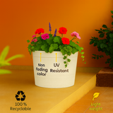 Fruit Rotomolded Pots for Home & Garden (Pack of 1)