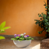 Lilly Rotomolded Pot for Home & Garden (Pack of 1)