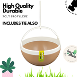 Hug A Plant | Saturn Pot for Home & Garden