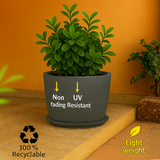 Nora Rotomolded Pots And Tray for Home & Garden (Pack of 1)