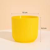 Ibiza 4 Inch Decorative Planters | Multicolour Planters | Ideal for Office, Home & Garden